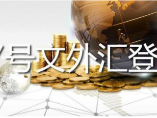 37號(hào)文登記解析：合規(guī)返程投資的重要步驟與要點(diǎn)