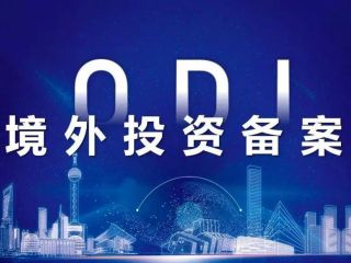 ODI境外投資備案，深入分析行業(yè)需求與潛力